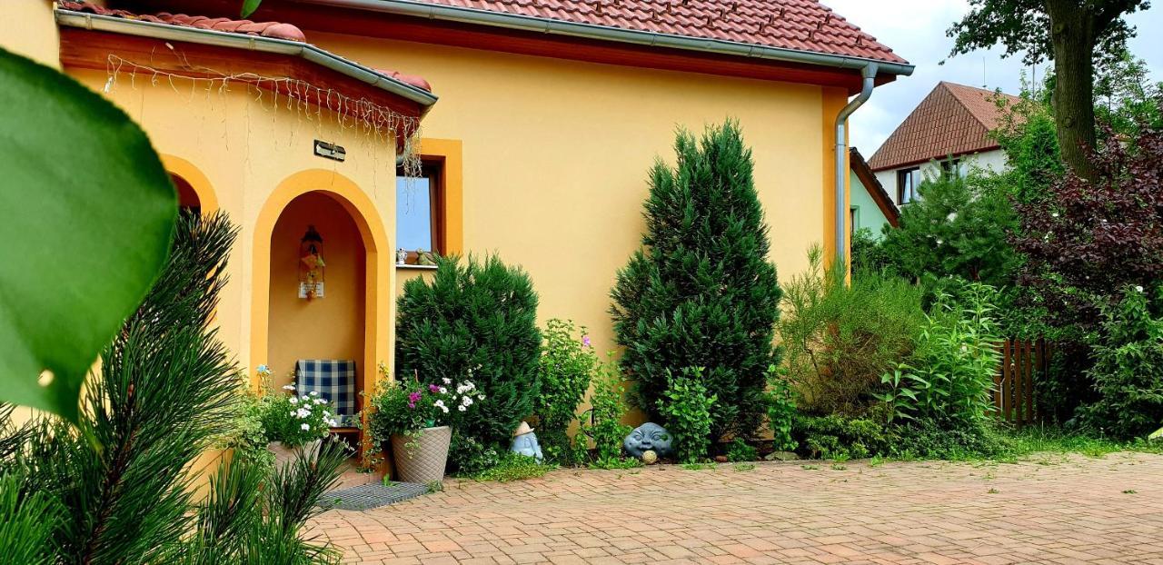 Penzion U Sykoru Trebon Exterior foto